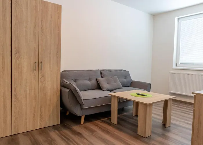 Apartmany Ski Kraslice - Nove Otevreno
